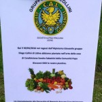 OrtoFelice6