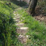 MontePrat2