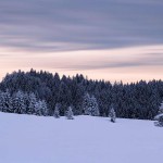 esc_2017_01_15