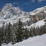 esc_2017_01_29