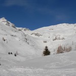 esc_2017_02_02-sasson-della-madonna