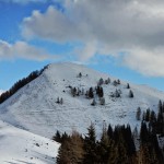 esc_2017_03_09-acomizza