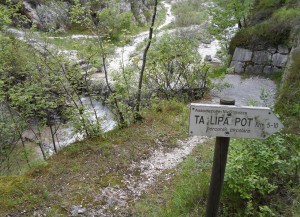 Ta-Lipa-PotGiuliano-Fiorini2