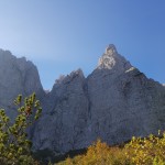 esc_20190926 Grauzaria