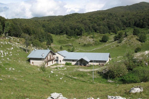 AG-Caneva_Malga_Fossa_di_Stevena_287