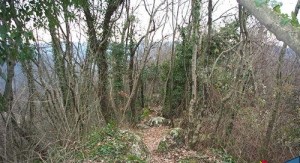 Ag-monte roba2_cr