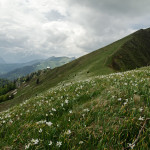 esc_20200607_Monte Golica.jpg