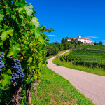 esc_20200919_IL COLLIO.jpg