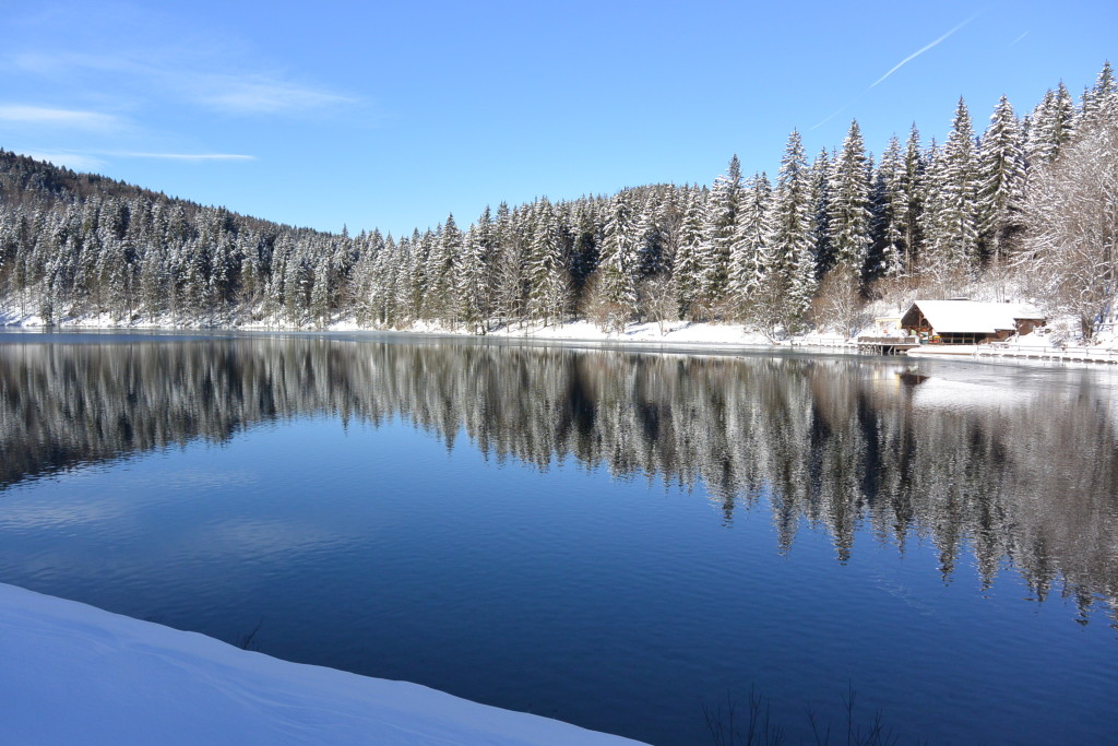 fusine3