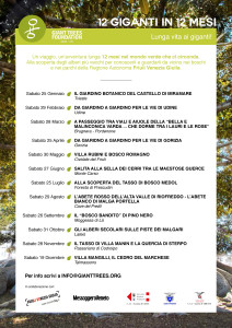 Locandina 12 giganti