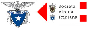logoCAI-SAF
