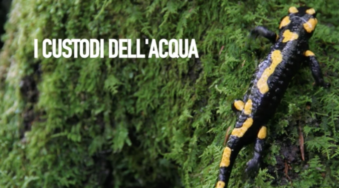 I CUSTODI DELL’ACQUA